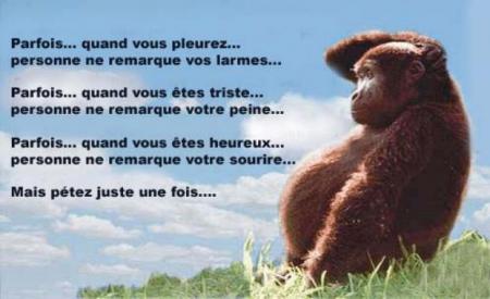 hahahahahahaha