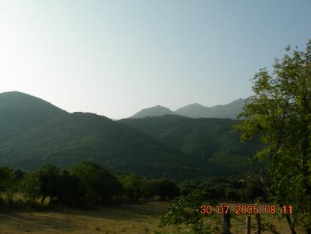 corse
